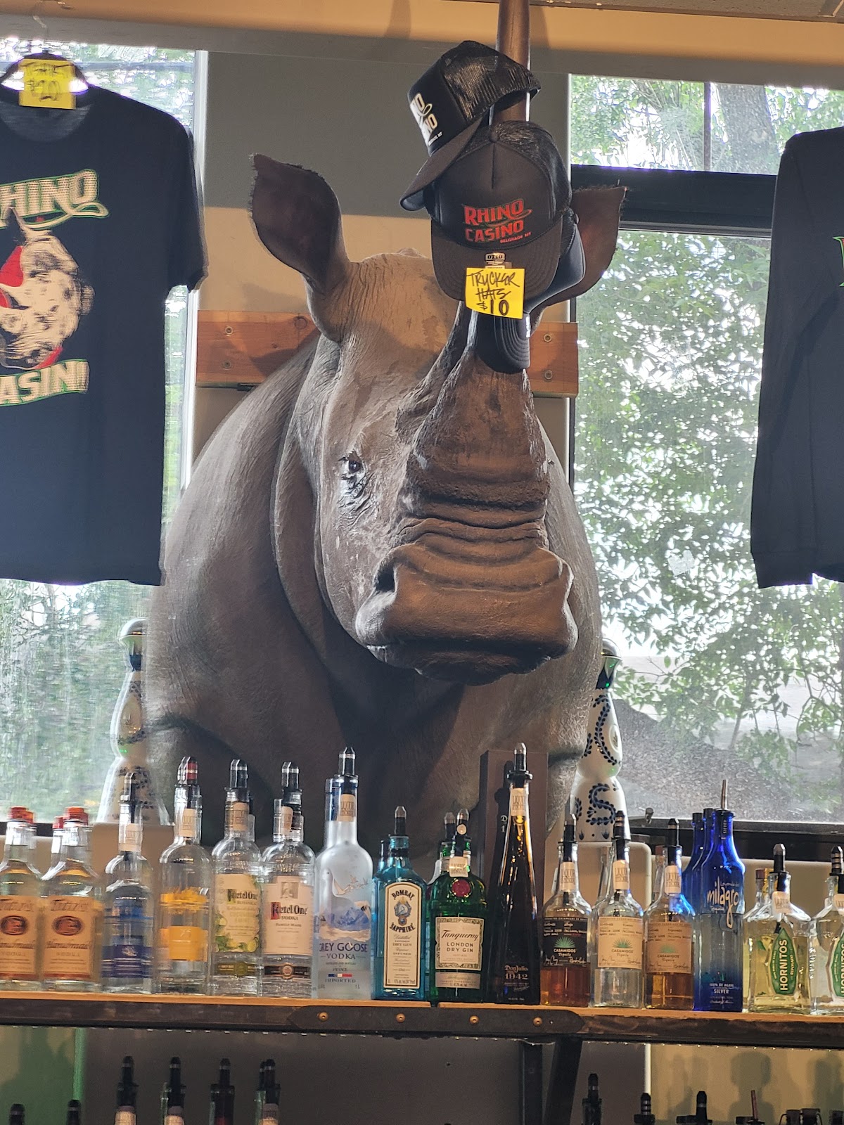 Rhino Casino