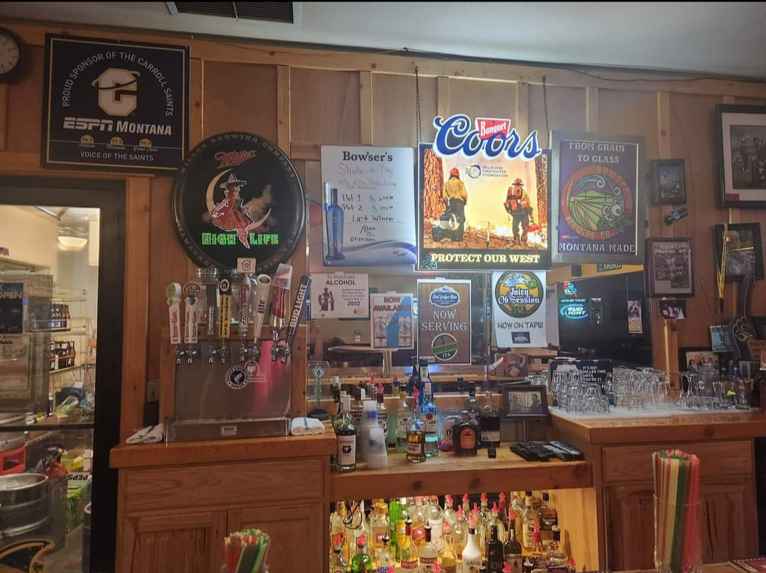 Bowser's Lucky Dog Casino