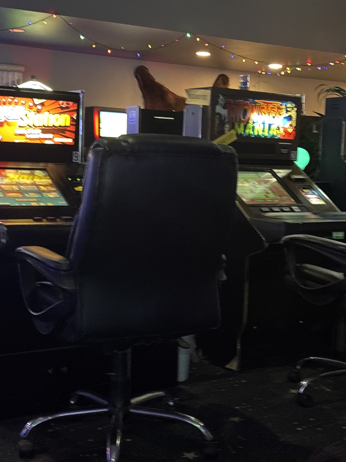 Maggie's Casino